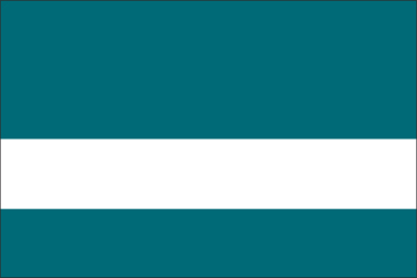 Teal/White