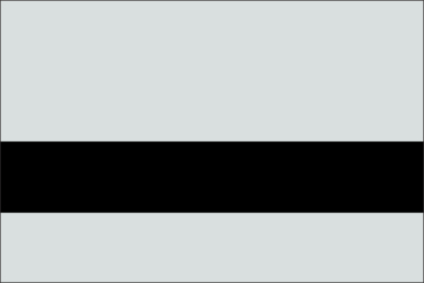 Pewter/Black