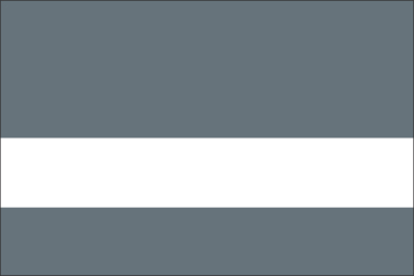 Gray/White